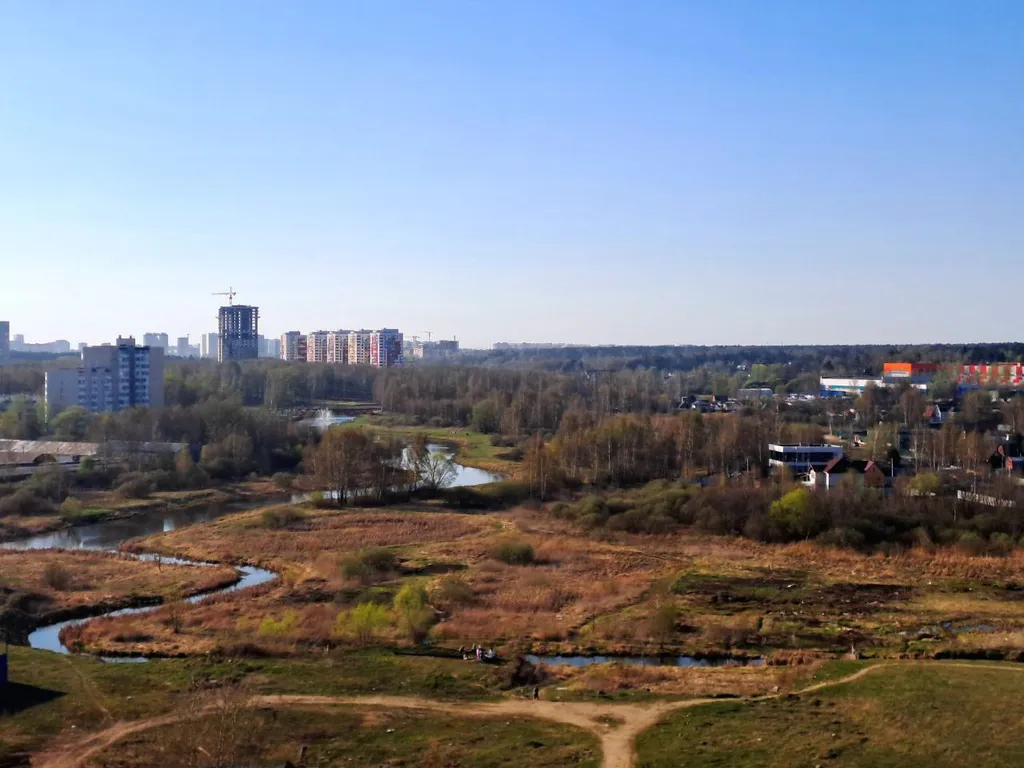 Квартира с видом на парк