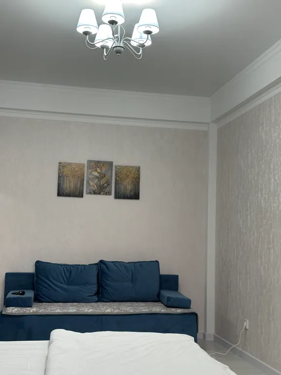 Уютная однокомнатная квартира в центре города