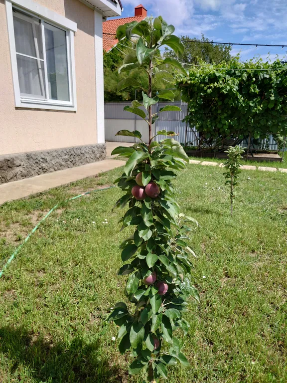 Уютный дом с хорошей энергетикой