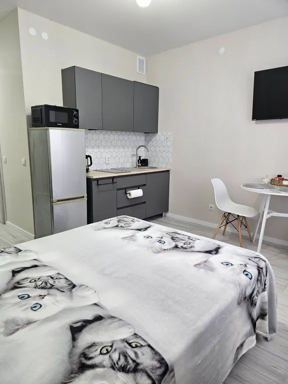 Современная стильная студия