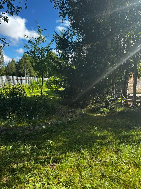 Коттедж Домик в лесу с баней — Лодейное Поле