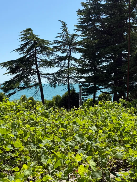 Квартира на берегу моря