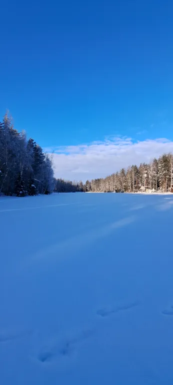 Дом в дубах