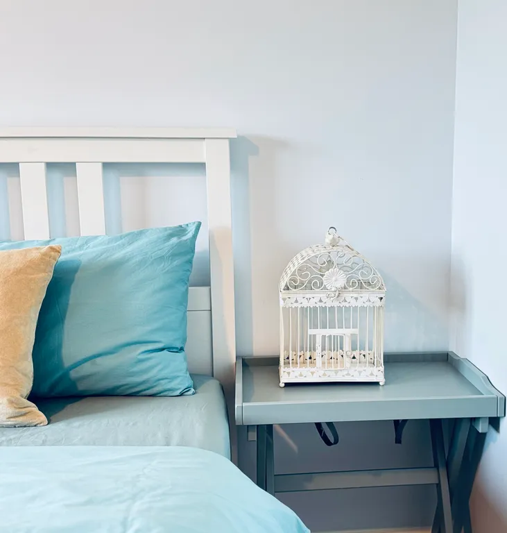 Квартира в центре Лазурная птичка