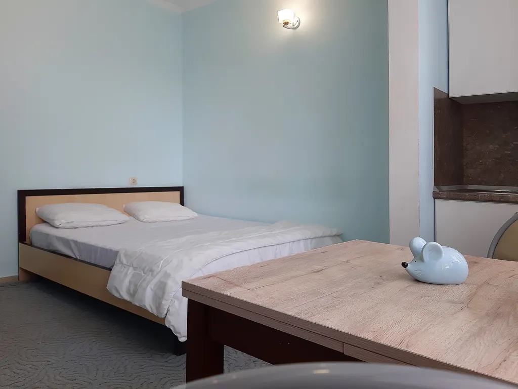 Квартира Квартира Студия на Тюльпанов — Сириус