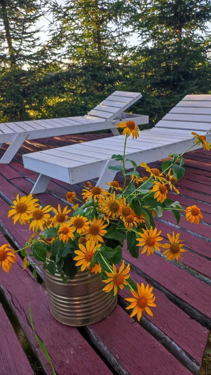 Агроусадьба с баней, на реке Птичь под Минском, с прудом