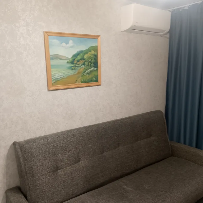 Уютная однокомнатная квартира в центре