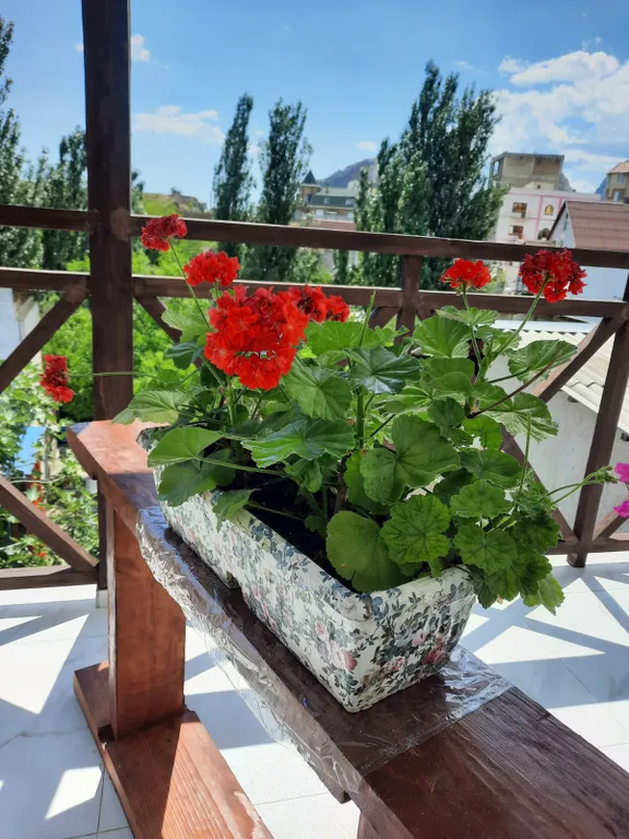 Квартира Современная, комфортная квартира с видом на море, горы и крепость — Судак