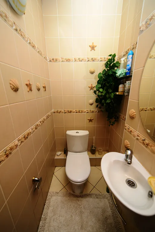 Квартира с сауной и дровяным камином