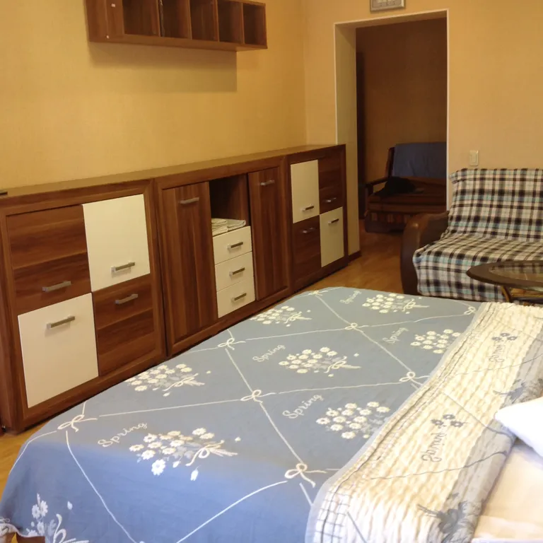 Просторная квартира в тихом центре