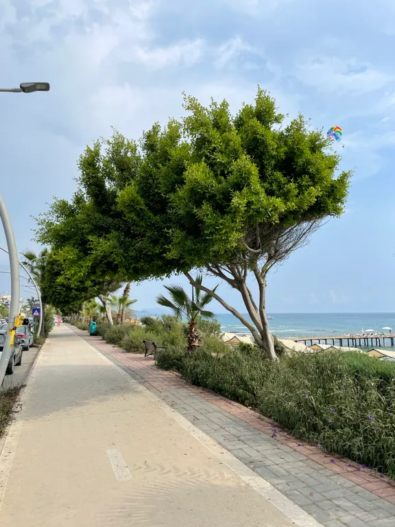 Семейные апартаменты, 150м от моря