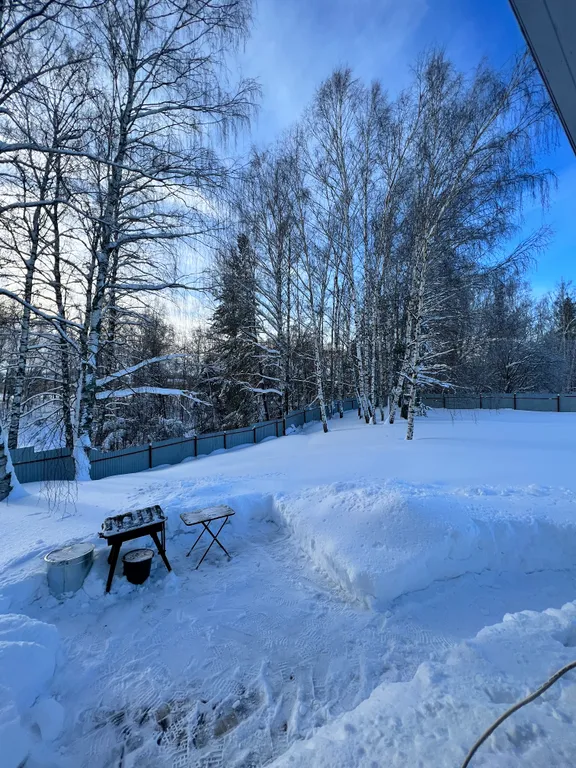 Уютный дом с видом на березовую рощу