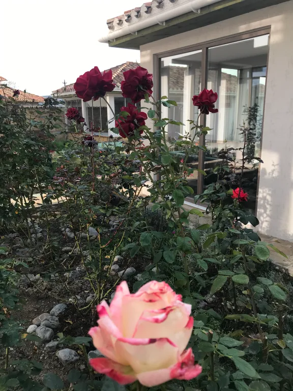 Коттедж Дом под черепицей — Солнечная Долина