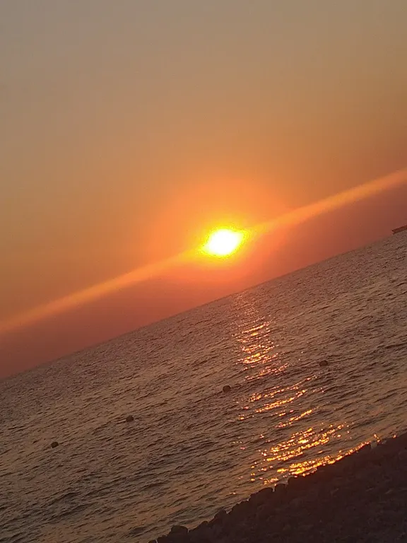 Бревенчатый дом 2 в лесу с бассейном