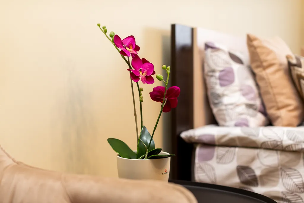 Квартира Уютная квартира недалеко от острова Канта — Калининград