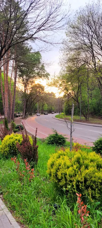Komsomolsky Park