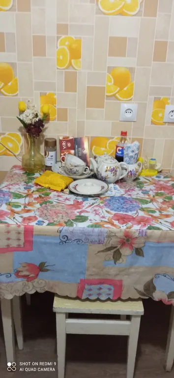 Уютная квартира рядом с гостиницей "Омск" и цирком