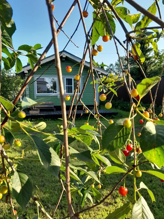 Уютный приветливый дом