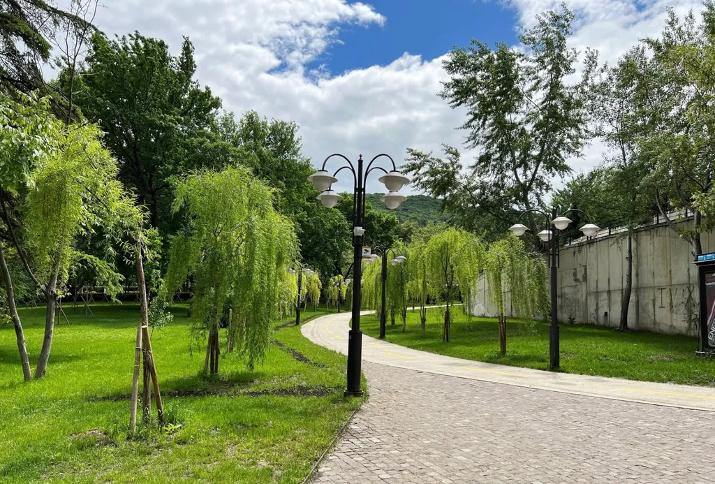 Дом, милый дом в центре города, Район Ваке