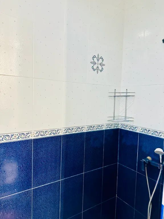 Апартамент Индейская