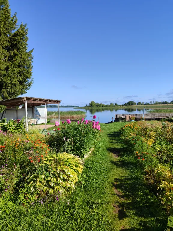 Дом на берегу Селигера первая линия