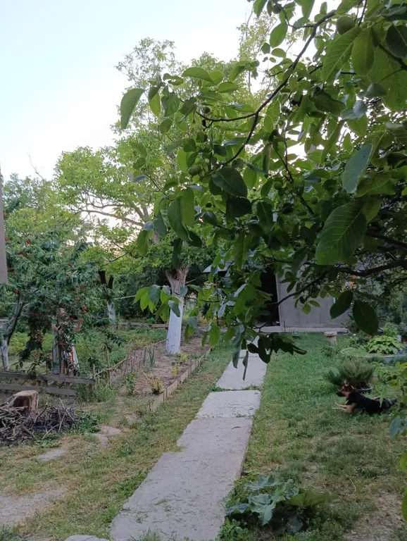 Эко дом в пригороде