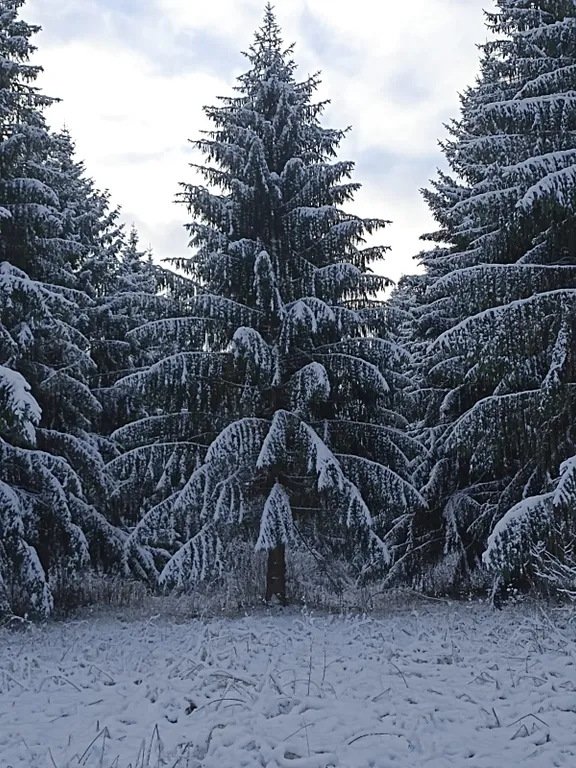 Уютный новый дом рядом с городом