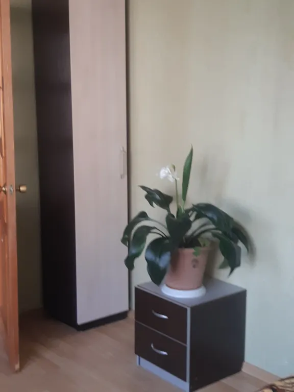 Уютная квартира в курортной зоне