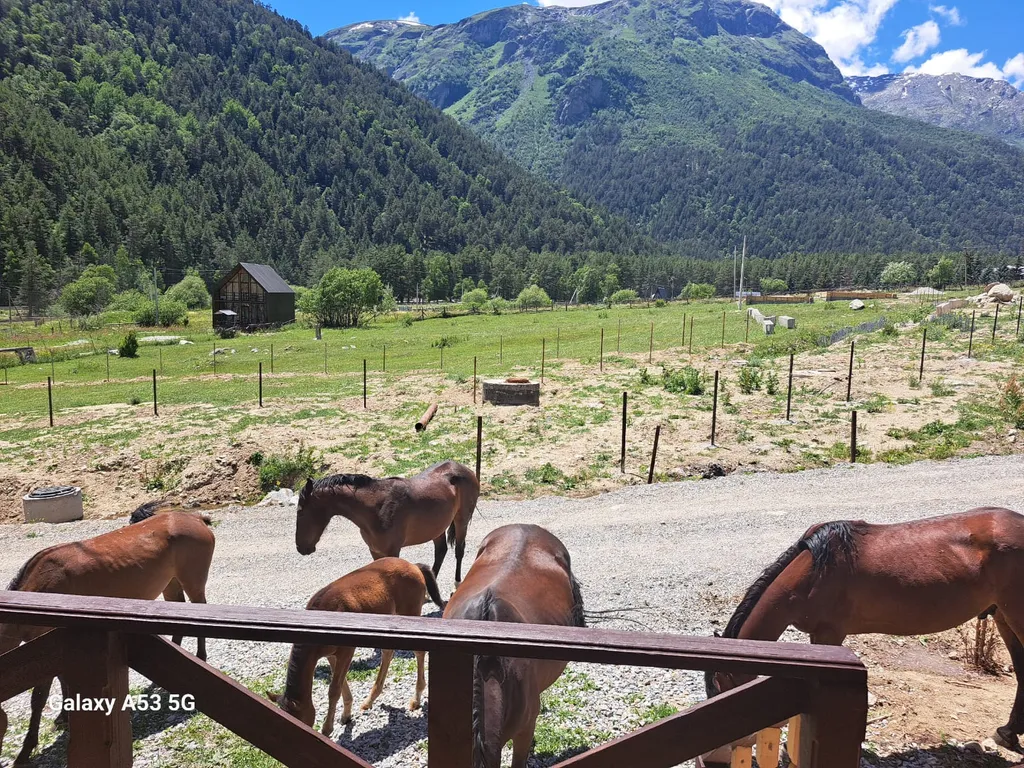 Домик с видом на горы