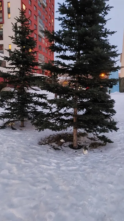 Квартира Квартира с красивым видом на город — Екатеринбург