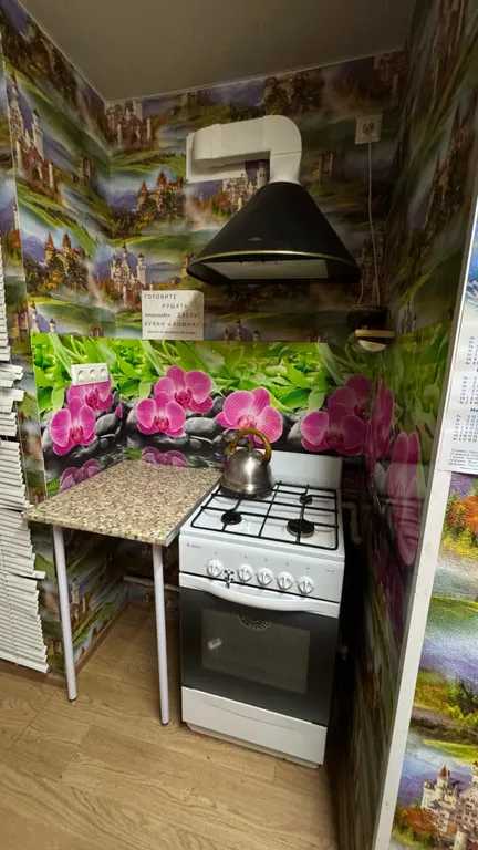 Дом-квартира с мансардой в центре