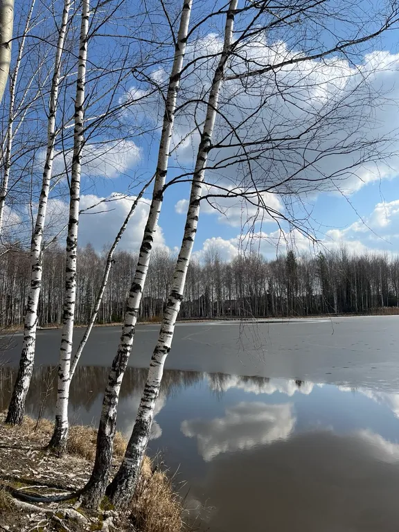 Дом в лесу у озера
