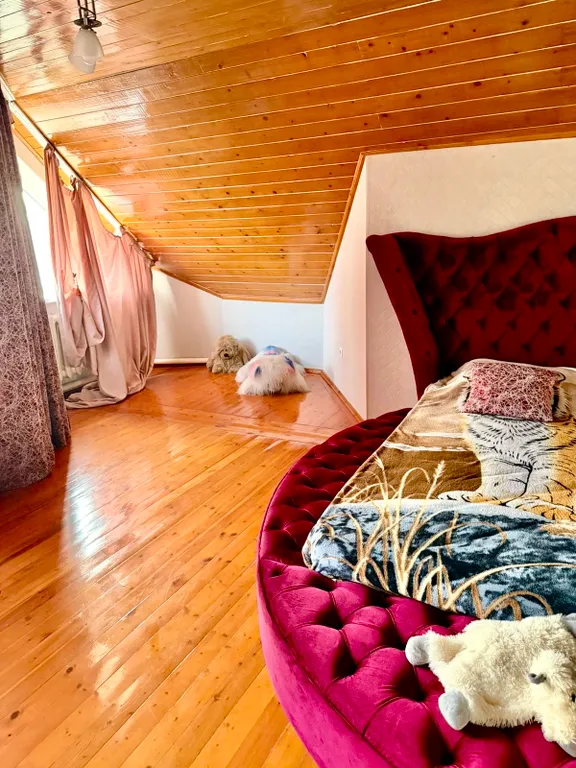 Большой дом на 10 и более гостей