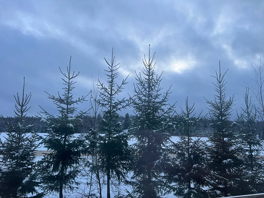 Квартира Комната — Шаховская