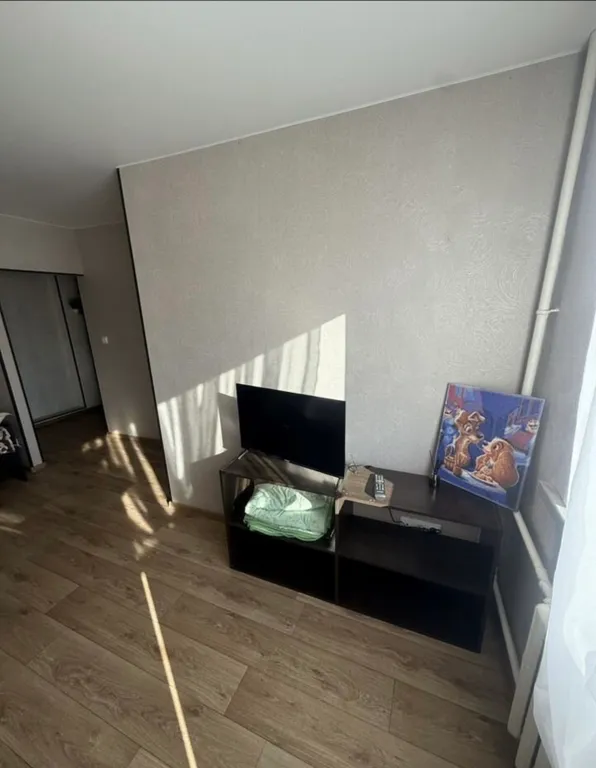 Уютная квартира на красной линии Демы — аренда посуточно в Уфа