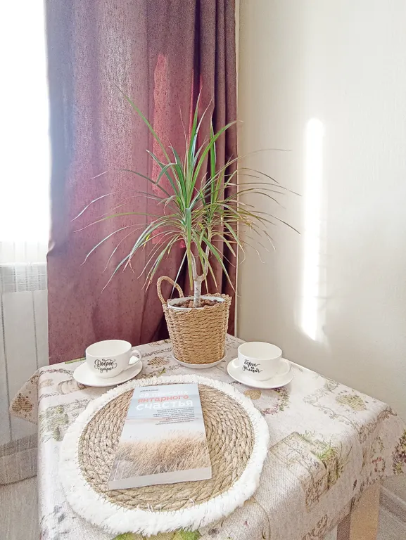 Уютная квартира в центре города