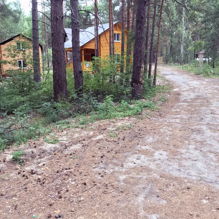 Дом Прованс в лесу