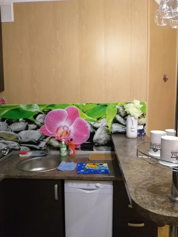 Апартамент в белых росах на оз. Банном (800 м до глц)