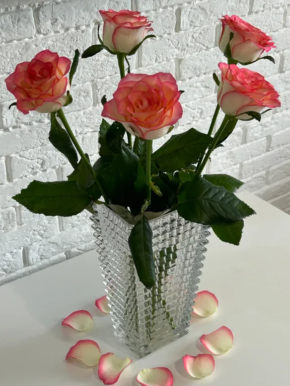 Чистая, уютная квартира в центре города