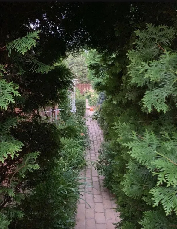 Коттедж Уютный деревянный дом с ландшафтным садом у озера — Шеметово