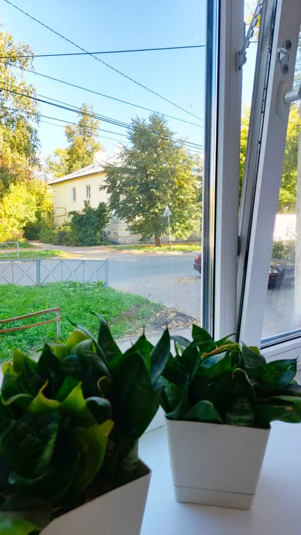 Студия в центре города