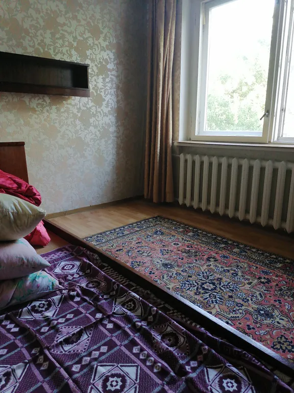 Квартира с видом на лес