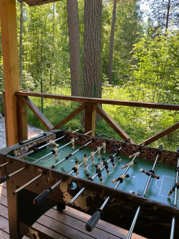 Комфортабельный коттедж с сауной на берегу водоема