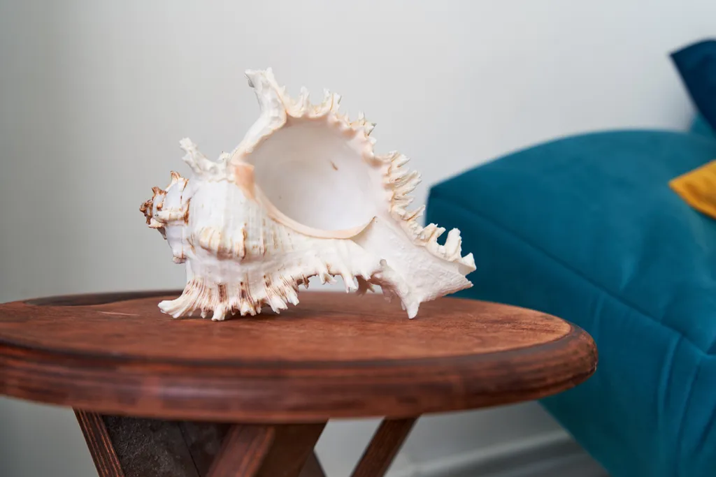 Квартира Уютные апартаменты на берегу моря — Севастополь