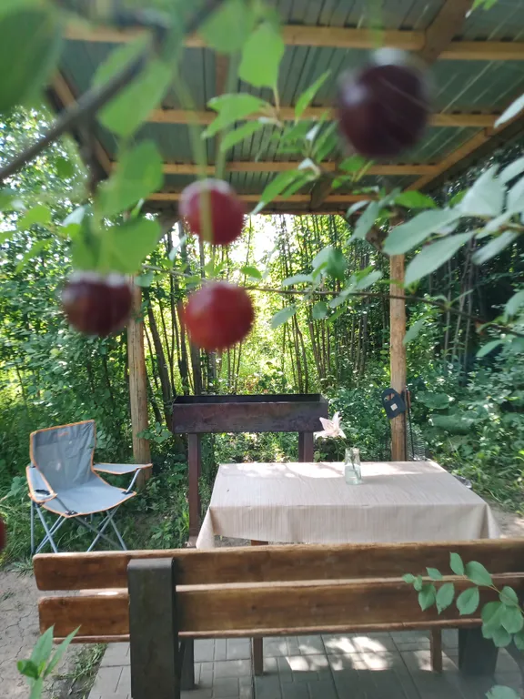 Вишневый домик