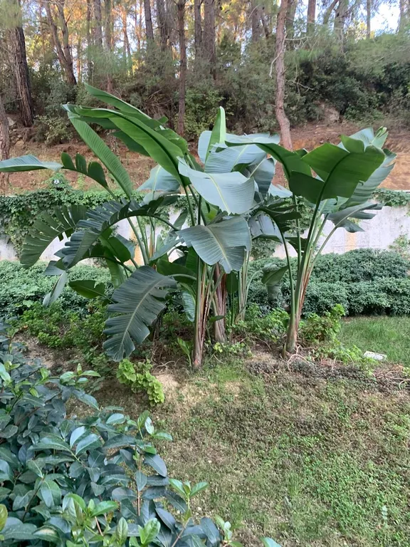 Апартамент в природном парке Stay Forest Park