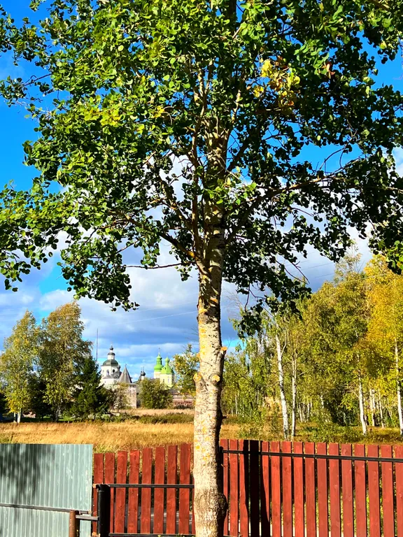 Уютный домик с баней с видом на монастырь