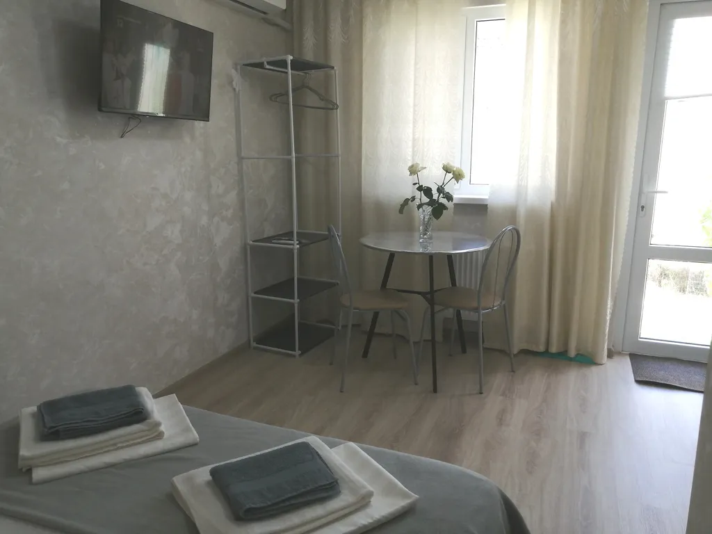 Студия с террасой