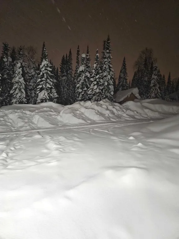 Коттедж Уютный дом в окружении пихтовых деревьев — Шерегеш