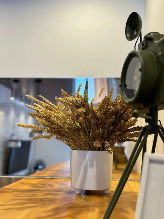 Квартира около моря